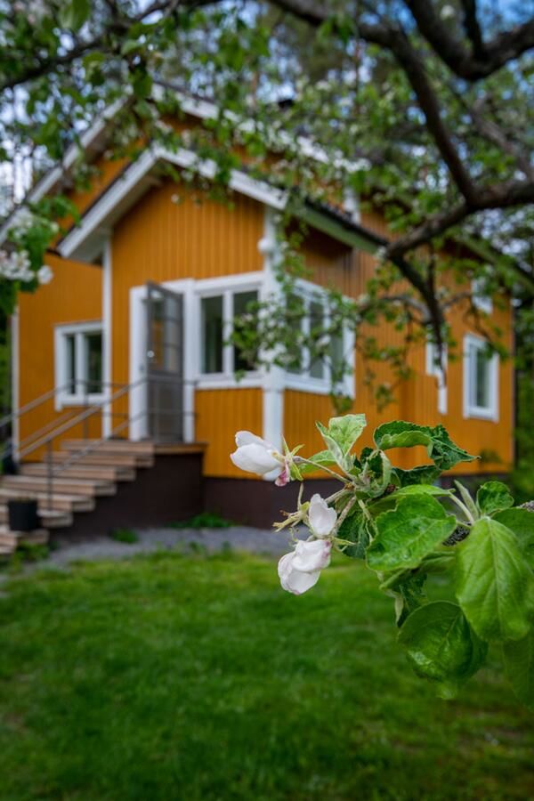 Виллы Björkbo, Old farm with modern conveniences Särkilahti-5